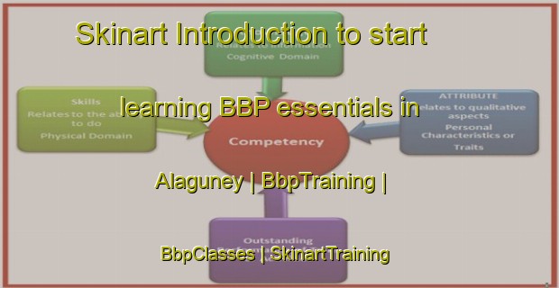 Skinart Introduction to start learning BBP essentials in Alaguney | BbpTraining | BbpClasses | SkinartTraining-Turkey